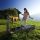 Ried im Zillertal Bild - Ried im Zillertal Tirol