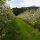 Kematen in Tirol Image for photo gallery