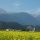 Kematen in Tirol Bild für Fotogalerie - Kematen Tirolo