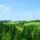 Aussicht - Bad Kreuzen Austria Superiore