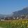 Rum Tyrol