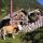 Kuh auf der Alm  - Rußbach Salzburg