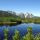 Löckersee