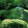 Natur pur!