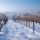 landscape in winter - styria