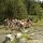Familienurlaub in der ZILLERTAL ARENA - TIROL