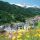 Sommerurlaub im Ferienort GERLOS - ZILLERTAL ARENA - TIROL