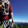 Wandern in der Urlaubsregion ZILLERTAL ARENA - TIROL
