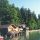 Zell am Moos am Irrsee