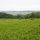 Panorama Kaffring/Oberkappel - Oberkappel Felso-Ausztria