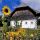 Altmuenster Upper Austria