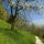 Soell Tirol