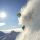 Tagsüber kann der Gast in einer schneesicheren Gegend wie St. Anton am Arlberg kaum genug vom Weiß bekommen, schwingt sich über Pisten und Loipen.