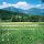 Unberührte Natur in Niederösterreich