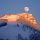 Buchensteinwand