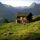 Alm am Zunig - Matrei i. O. - Hohe Tauern Osttirol Tirol