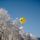Ballonfahren im schönen Salzkammergut - St. Wolfgang Felso-Ausztria