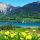 Blick auf St. Wolfgang im Frühling - St. Wolfgang Opper-Oostenrijk