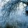 Ossiacher See Winter