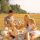 Burgenland - Picknick