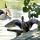Geras Bild für Fotogalerie