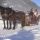 Gemütlich gehts durch die verschneite Winterlandschaft! - Dachstein Salzkammergut Oberoesterreich