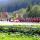 Tourismusverband Wipptal, Ortsstelle Schmirn Bild - St. Jodok Tirol