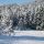 Winterwandern 1