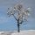 Winterwandern