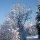 Winterwandern 2 - Alberschwende Vorarlberg