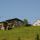 Niedere