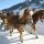 Pichl-Reiteralm Steiermark