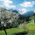 Frühling im Bodental