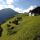 Umhausen - Niederthai Image for photo gallery - Umhausen  -  Niederthai Tirol