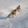 Obertauern Bild für Fotogalerie