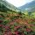 Vent Bild für Fotogalerie - Vent Tirol
