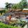 Blumenhaus Schinnerl