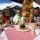 Zillertal Tyrolsko