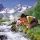 Pitztal in Tirol Bild für Fotogalerie