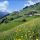 St. Veit in Defereggen - Defereggental Tirol
