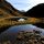 Pfauenauge - Defereggental Tirol