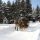 Seefeld (Olympiaregion) Tirol