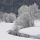 verschneite Bäume - Bezau Vorarlberg