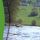 Große Mühl in Schlägl| Böhmerwald | Oberösterreich | Österreich