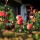 Rosen in Itter