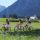 Wängle Bild für Fotogalerie - Waengle Tirol