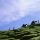 Trekking - Kelet-Tirol Tirolo