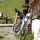 bike - Schroecken Vorarlberg