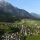 Wiesing Tirol