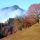 Herbststimmung am Wiesinger Bühel - Wiesing Tirol